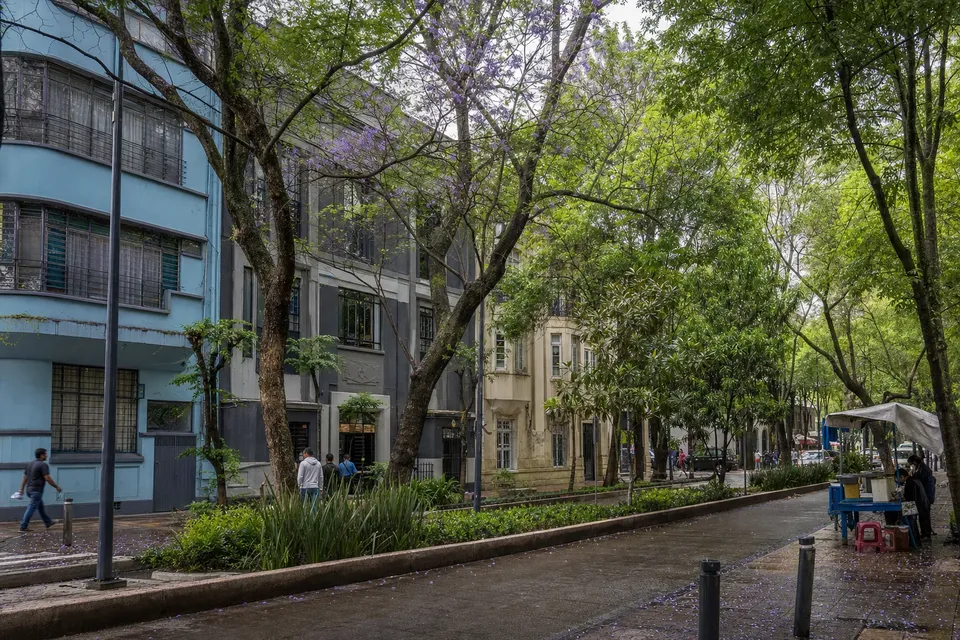 A leafy neighborhood street and food stand in Mexico City's Roma Norte